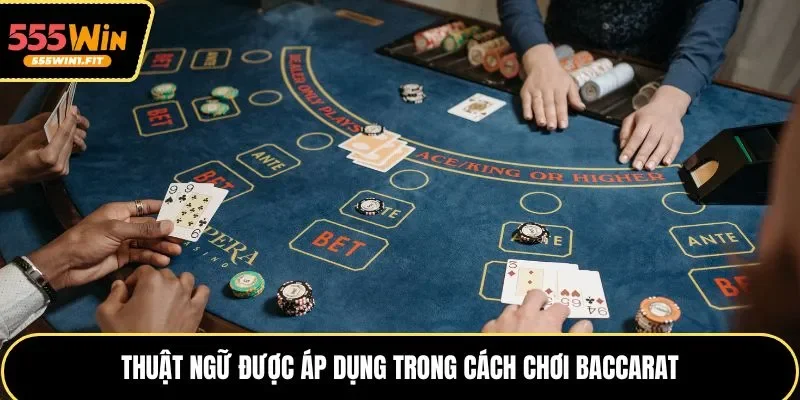 Thuật ngữ được áp dụng trong cách chơi Baccarat