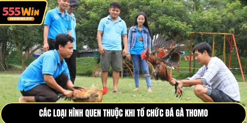 Các loại hình quen thuộc khi tổ chức đá gà Thomo