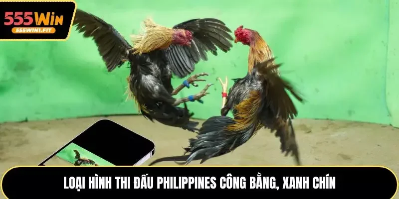 Loại hình thi đấu Philippines công bằng, xanh chín