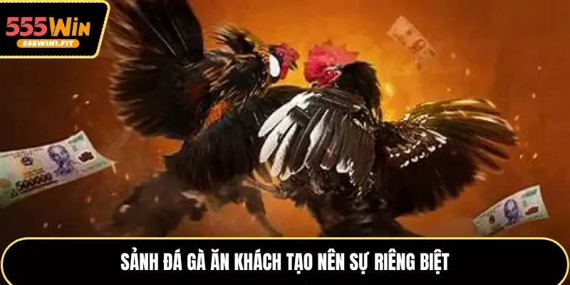 Sảnh đá gà ăn khách tạo nên sự riêng biệt
