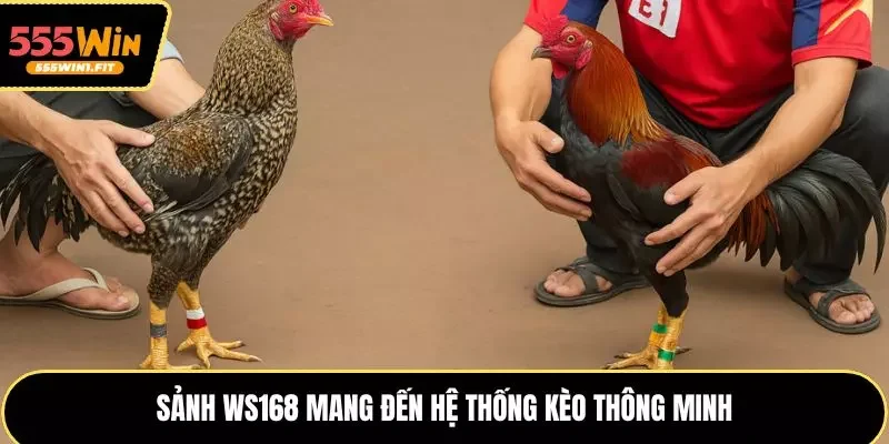 Sảnh WS168 mang đến hệ thống kèo thông minh