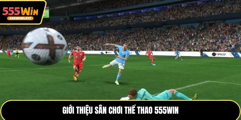 Giới thiệu sân chơi thể thao 555win