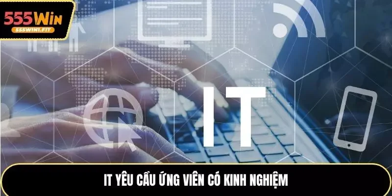 IT yêu cầu ứng viên có nhiều năm kinh nghiệm
